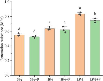 Artificial macropores improve maize performance at the seedling stage under poor aeration